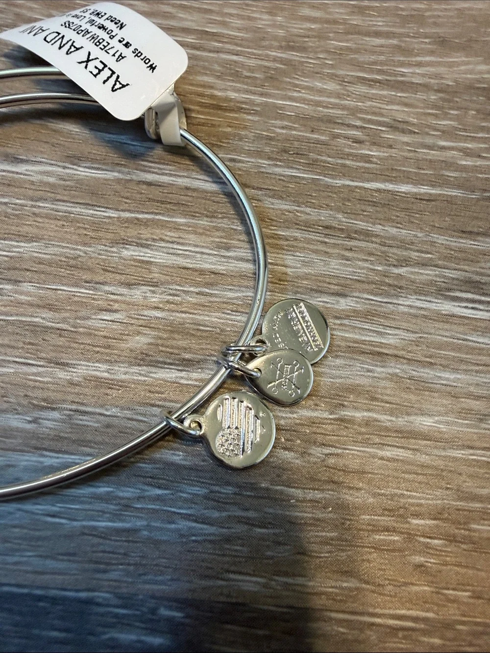 NWT Alex and Ani Bangle Bracelet Dog Love is All You Need Charm Red Silver